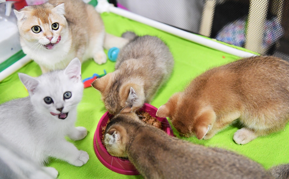 Наталья Селиверстова / РИА Новости