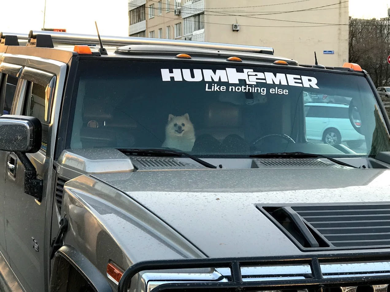 РБК Приморье