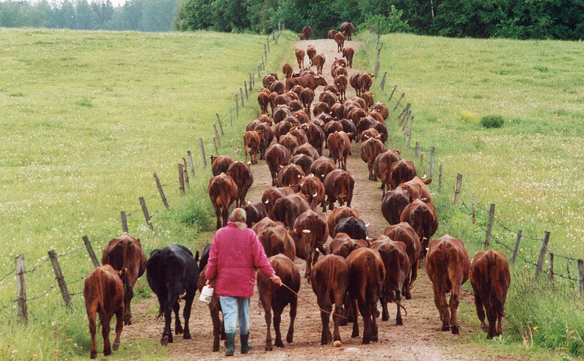 Виктор Лисицын / Global Look Press