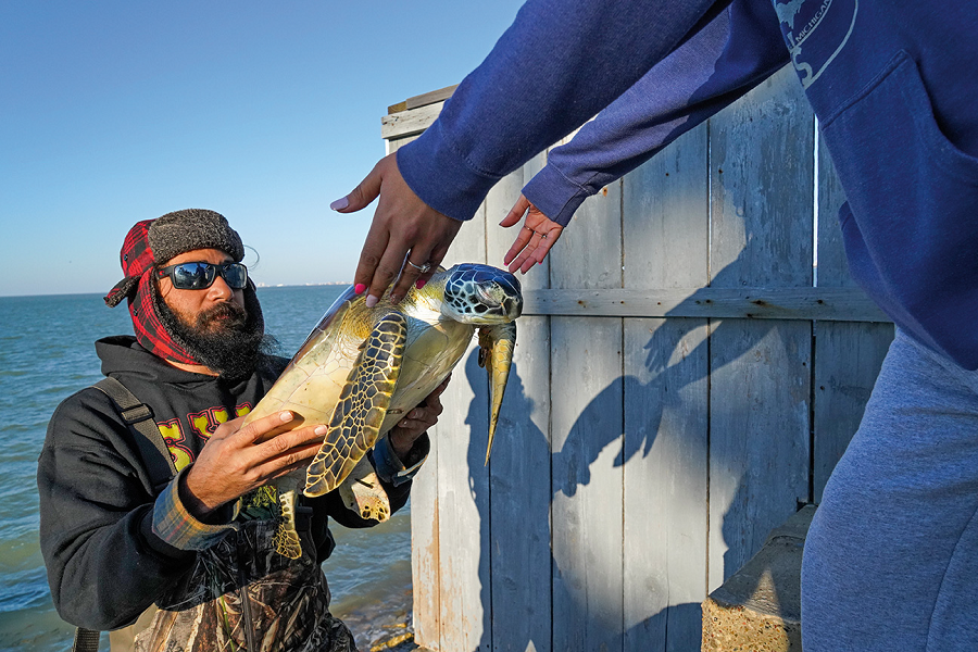 Фото: Sandesh Kadur, India