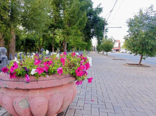Алексей Коваленок / РБК Новосибирск