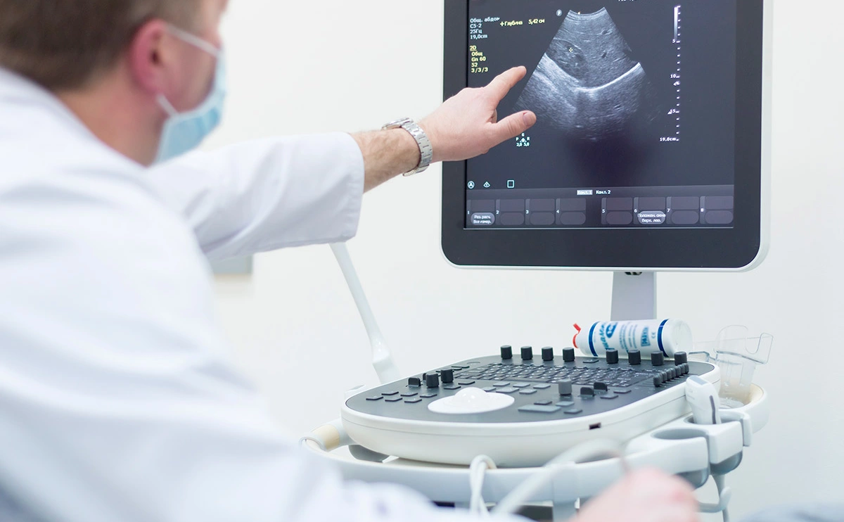 Romanets / Shutterstock