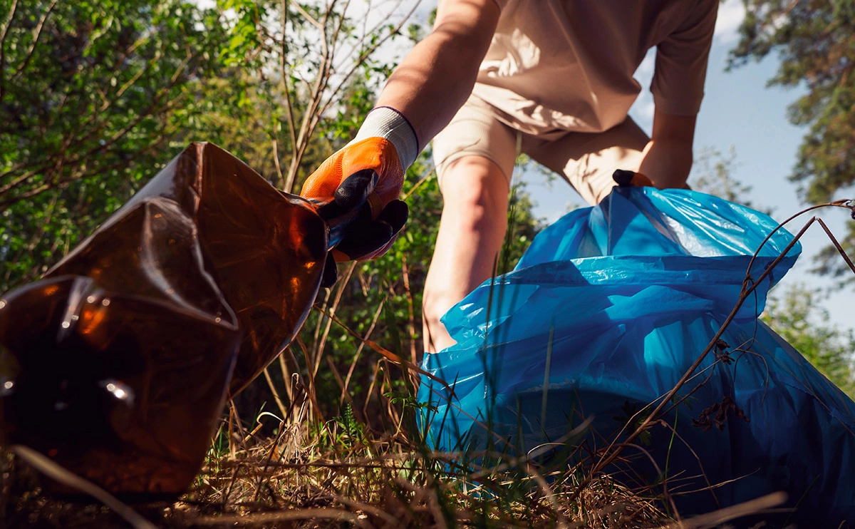 LesdaMore / Shutterstock