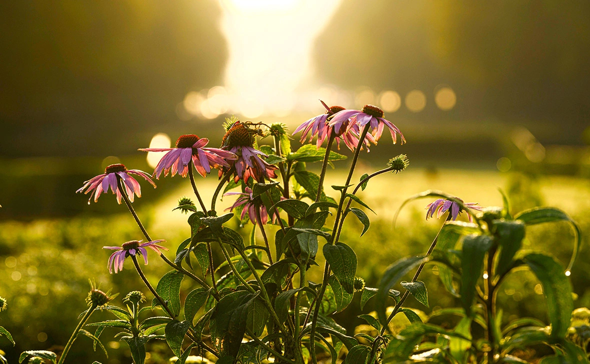  IMAGO / Photo News / ТАСС