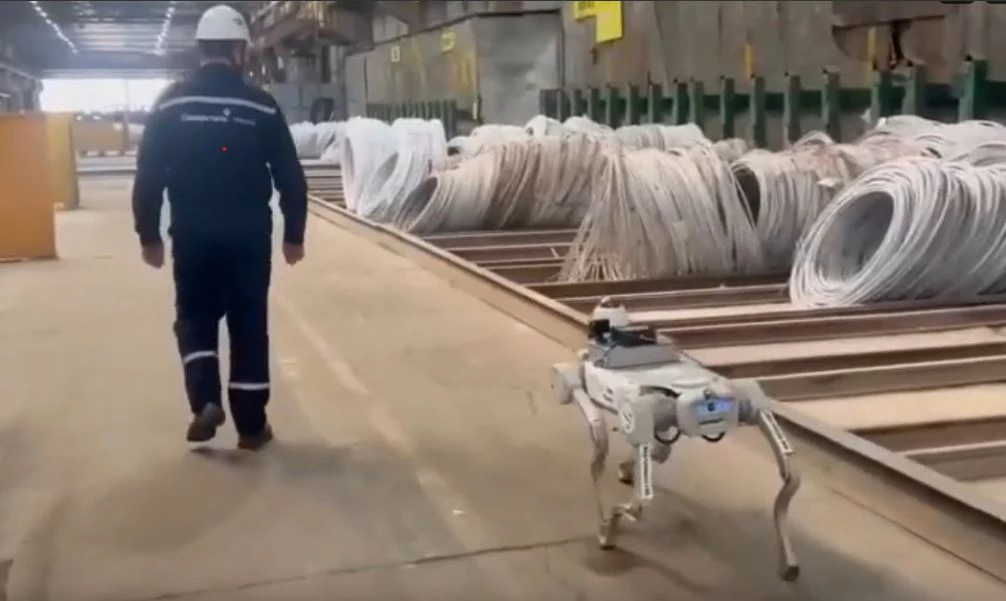 ПАО Северсталь