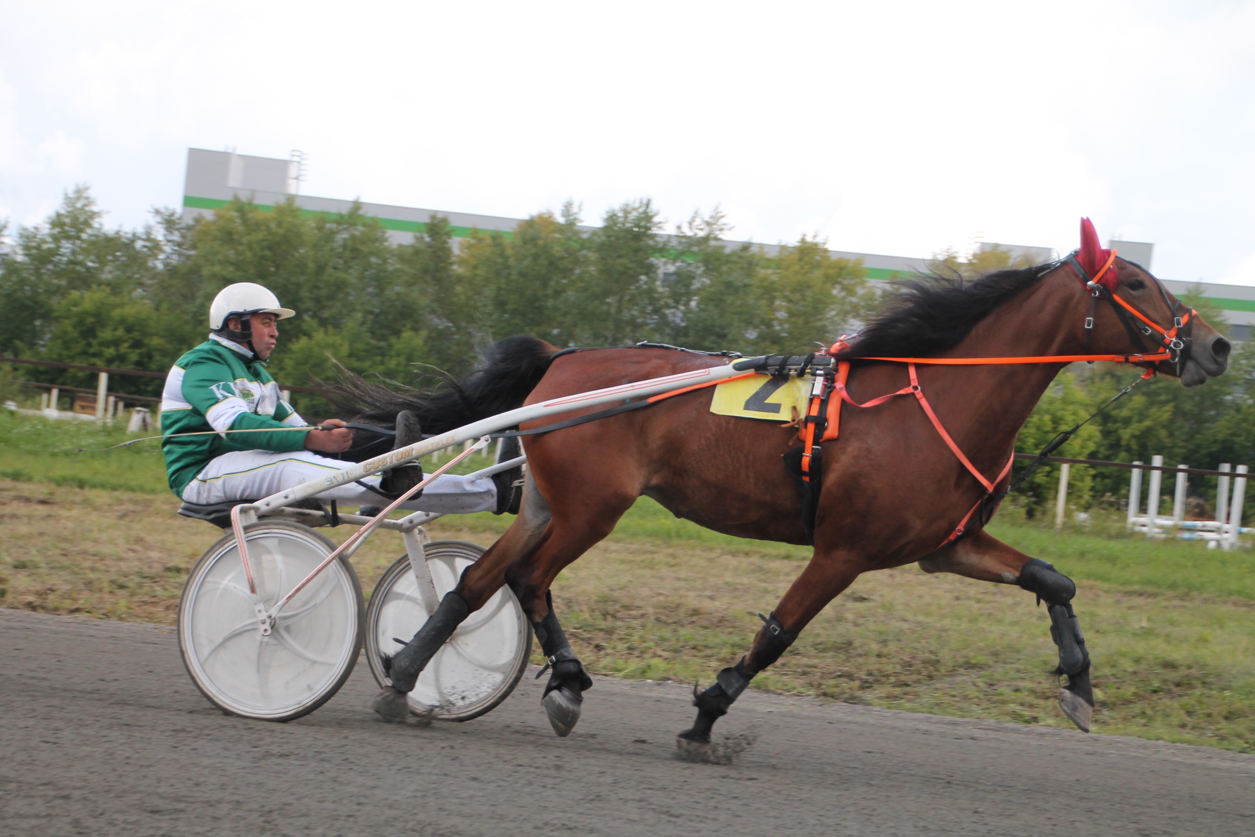 Фото: Ольга Дерюшева