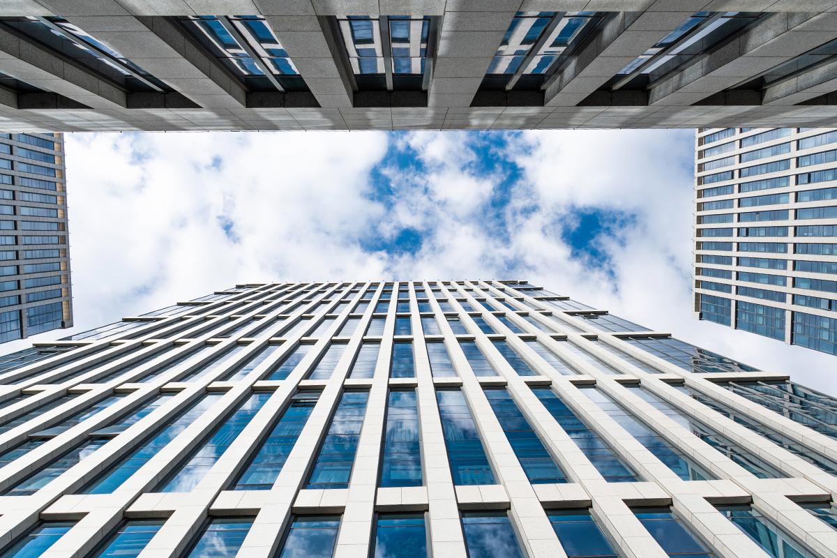 Фото: hxdbzxy / Shutterstock / FOTODOM