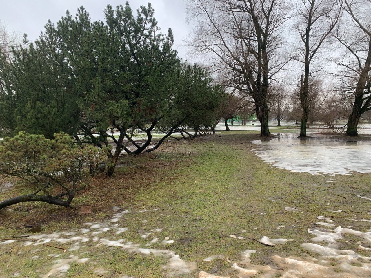 Фото: Группа защитников парка в социальных сетях «Парк академика Сахарова»