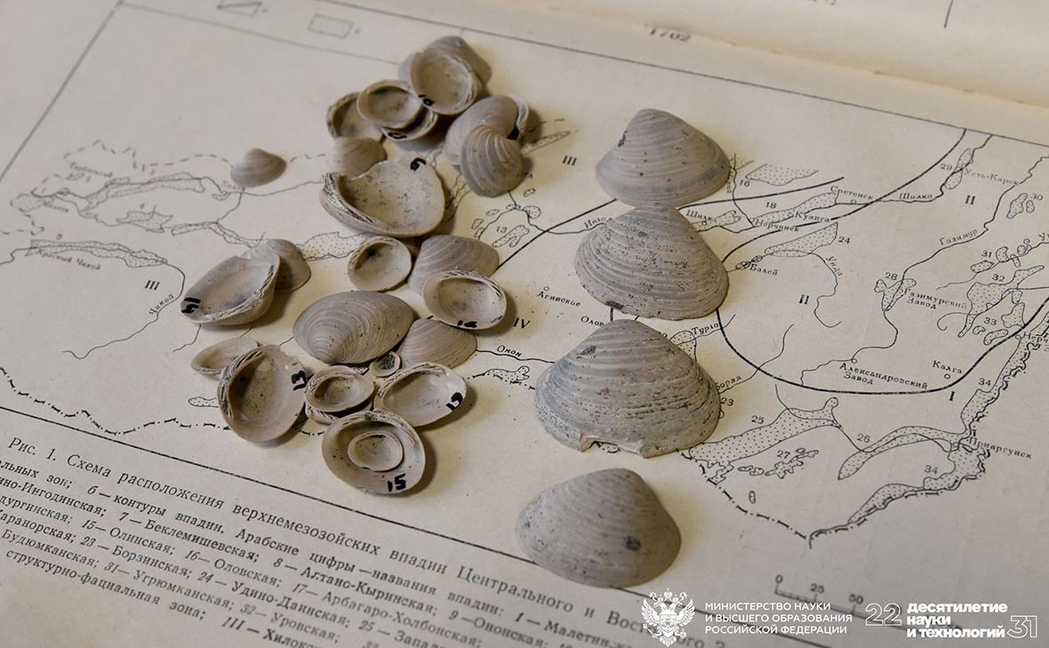 Фото: Екатерина Жимулева / «Наука в Сибири»