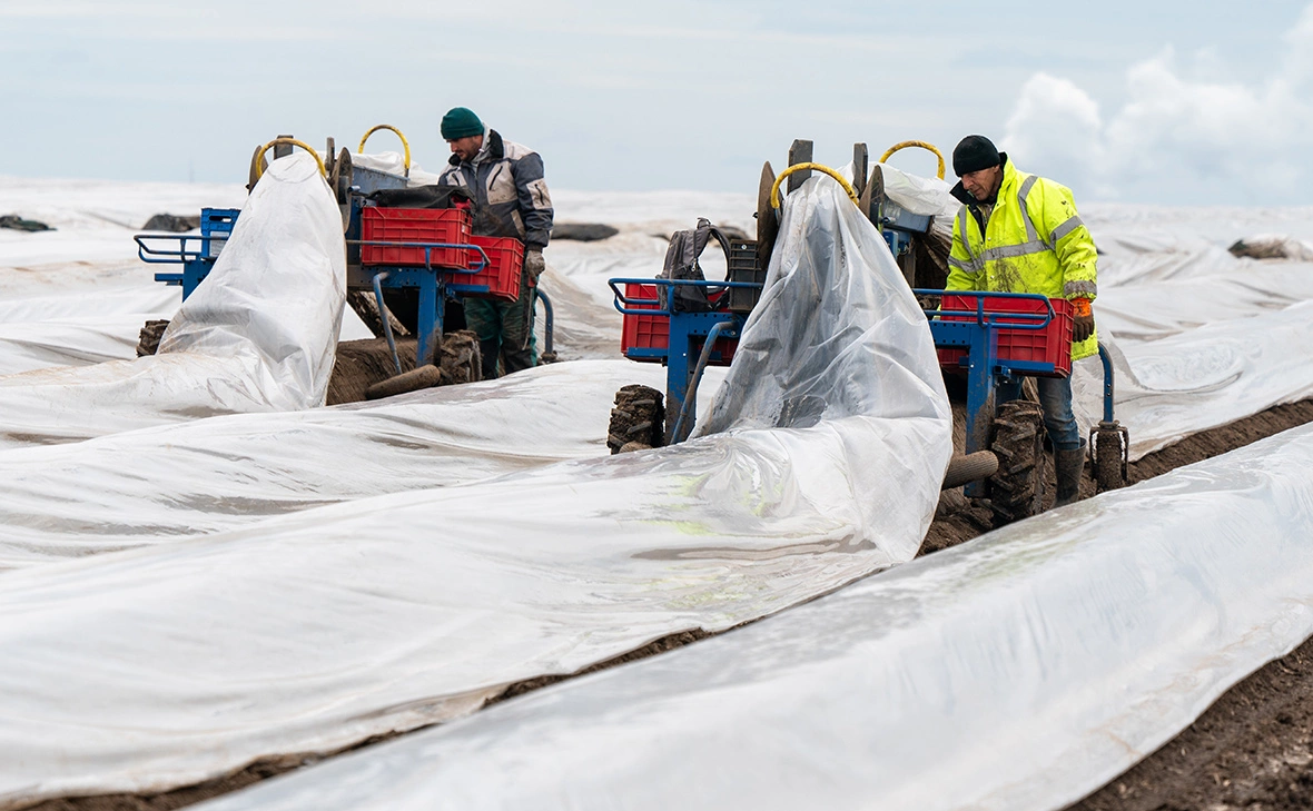 Peter Endig / dpa / Global Look Press