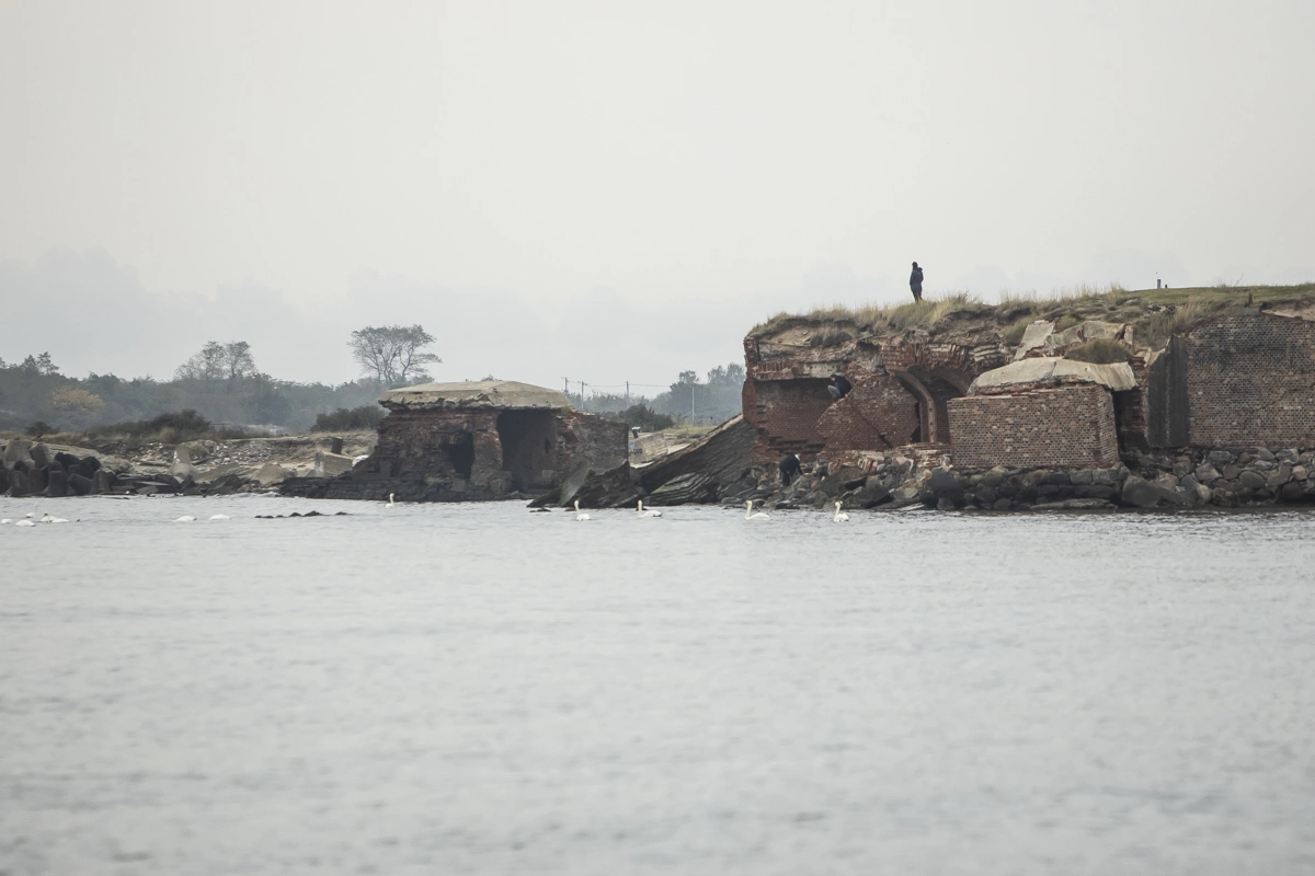 Александр Подгорчук