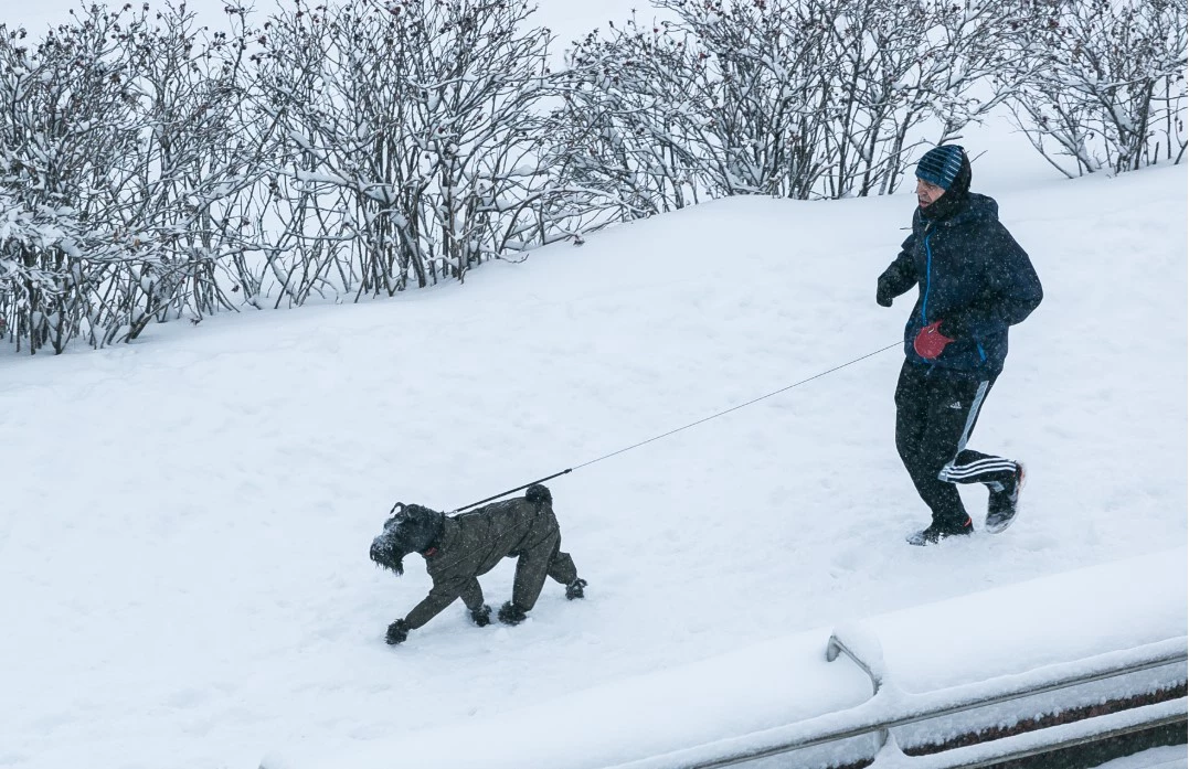 Денис Моргунов / URA.RU