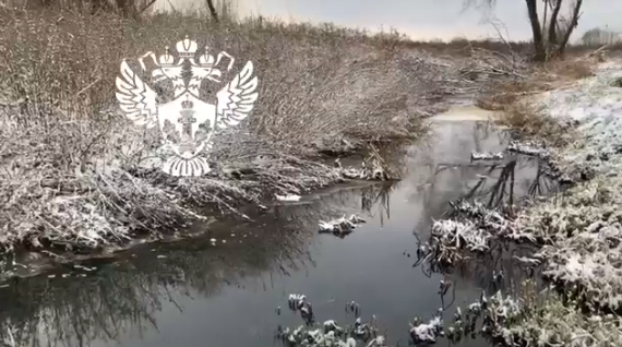 скриншот видео Росприроднадзора