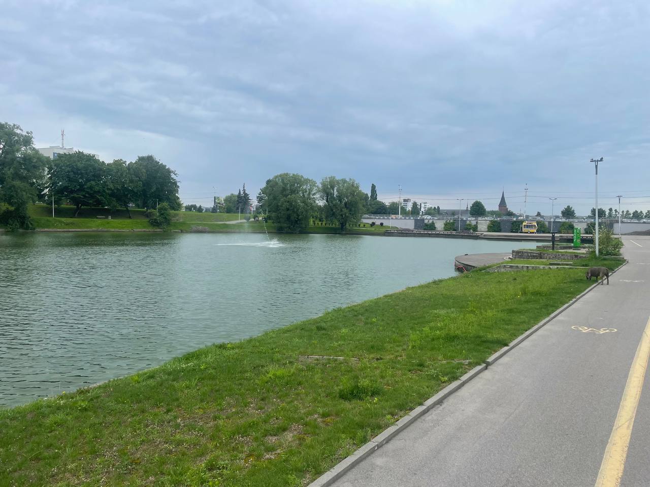 Фото: Марина Маркевич