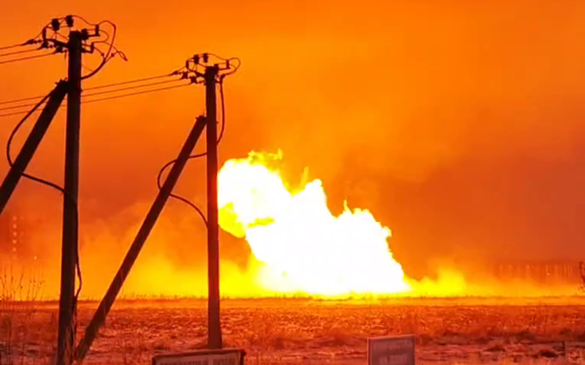 Фото: Владимир Войнов