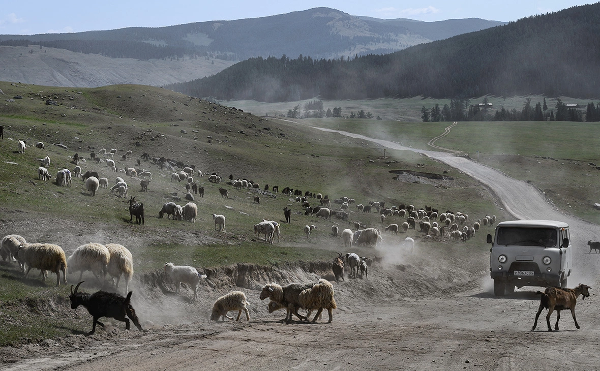 Александр Кряжев / РИА Новости