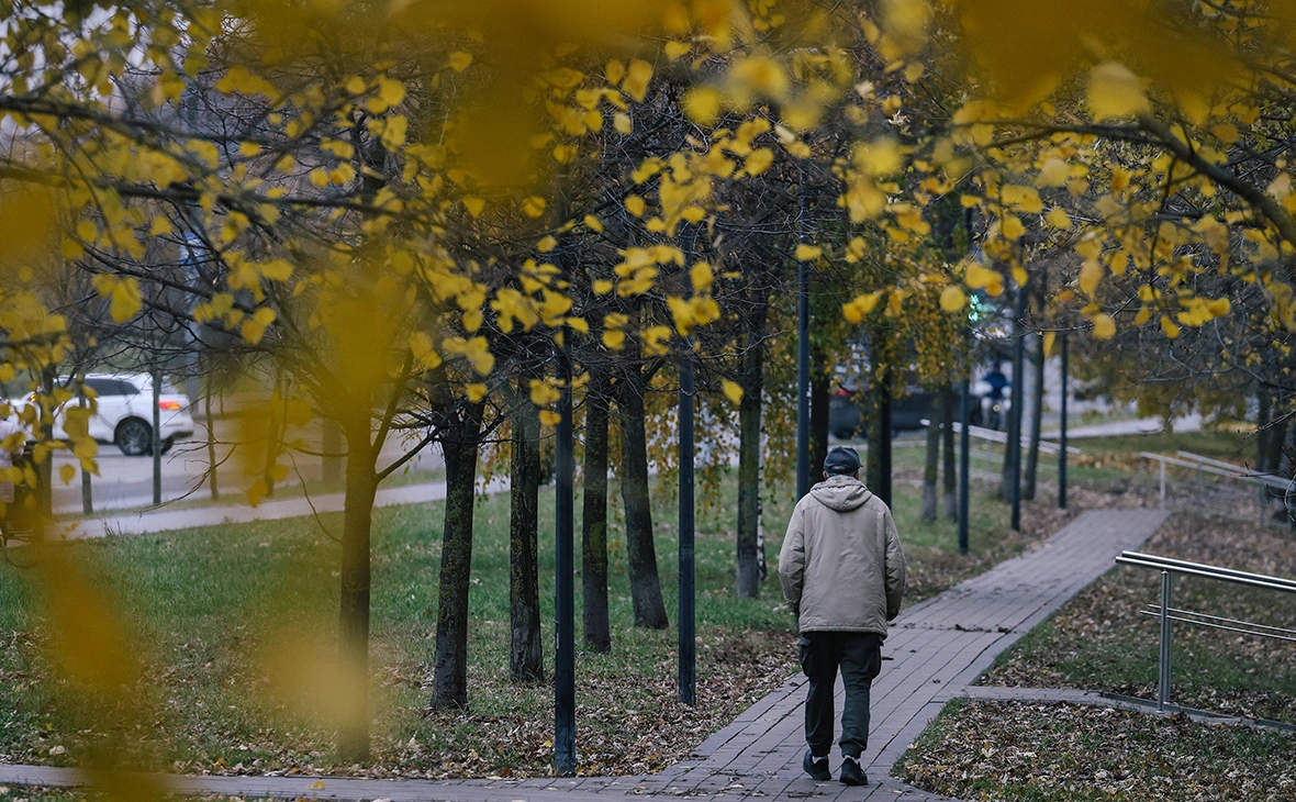 Андрей Любимов / РБК