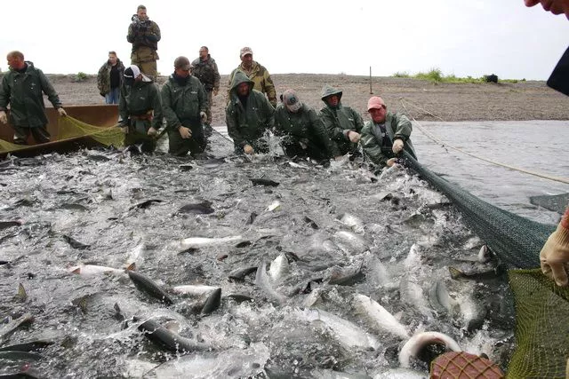 правительство Камчатского края