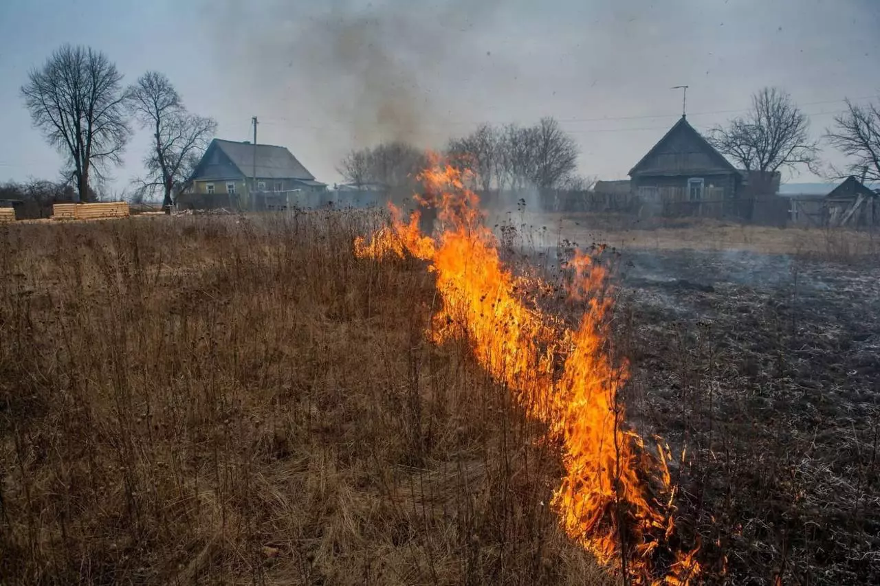 РБК Приморье