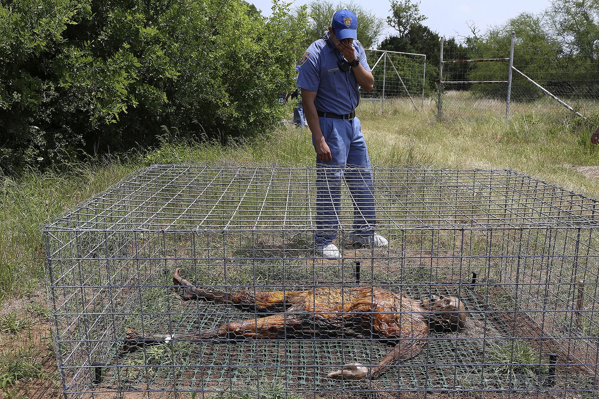 «Ферма трупов» в Теннесси