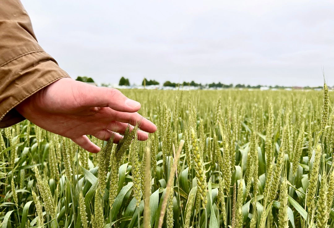 Анастасия Баршинова/РБК Краснодар