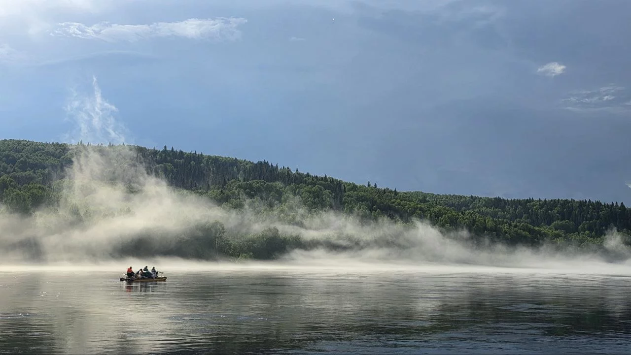 Алёна Катаева