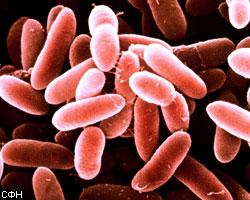 США не хотят запрета бактериологического оружия