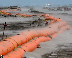 Ураган "Алекс" может разнести нефть по Мексиканскому заливу
