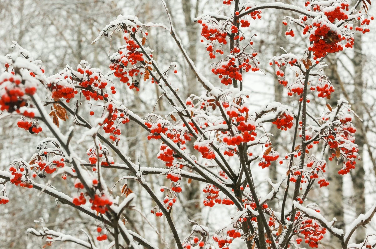 Денис Моргунов / URA.RU