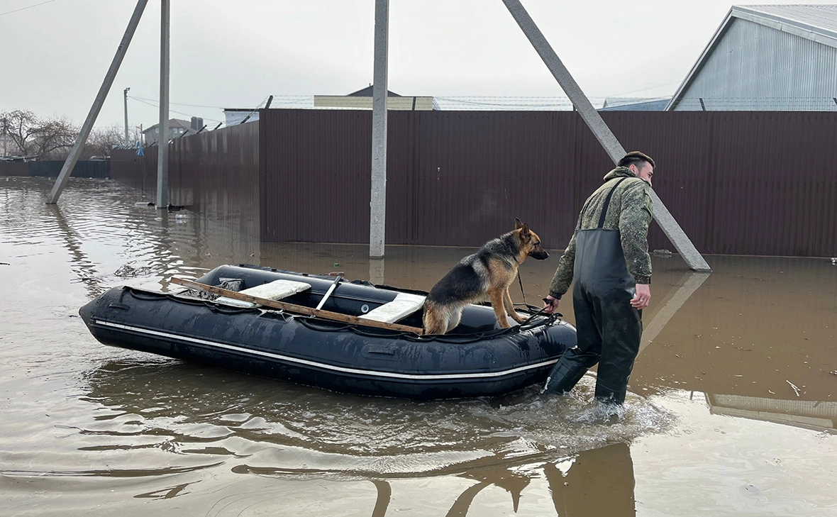 Мария Лисицына / РБК