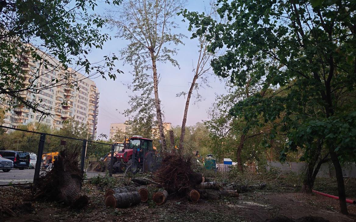 СК начал проверку из-за вырубки деревьев на северо-западе Москвы