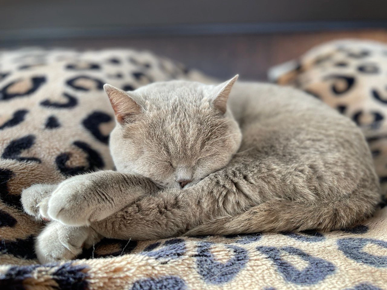 РБК Приморье