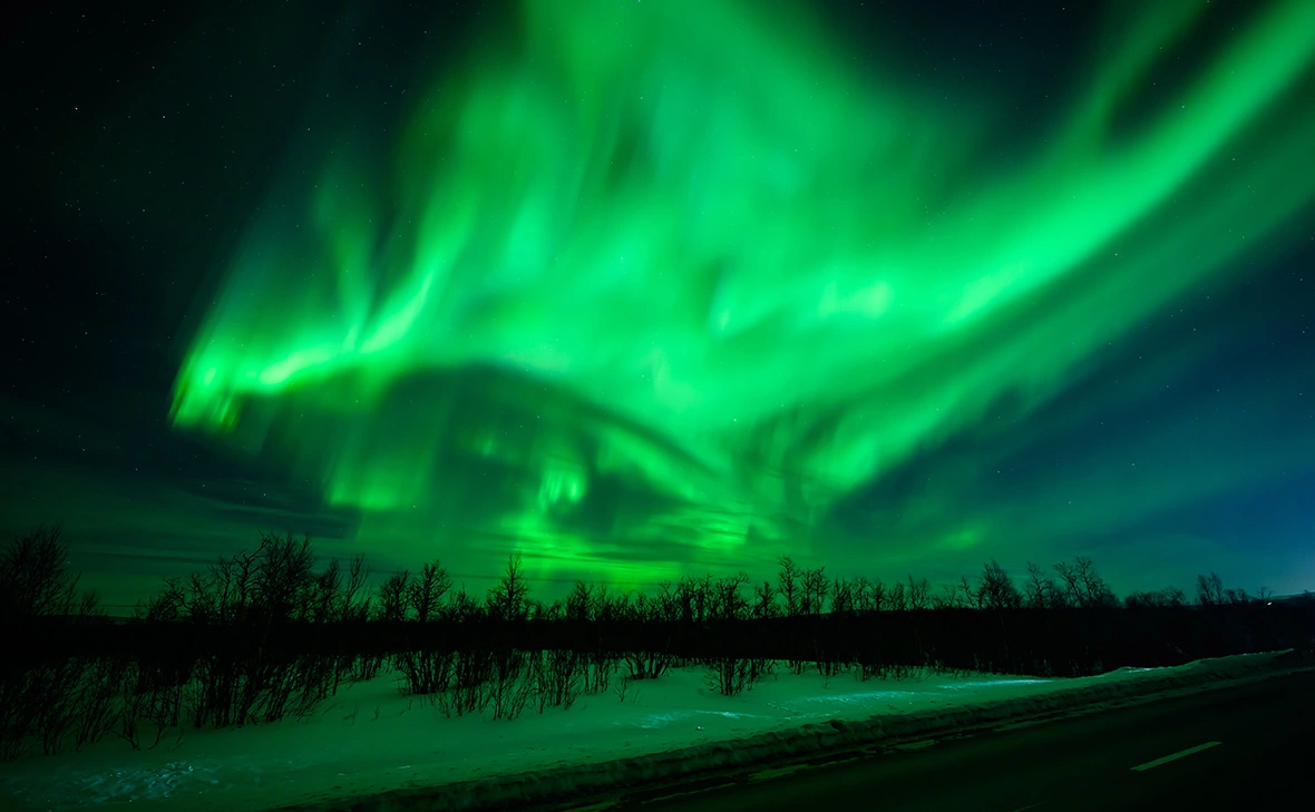 Leon Neal / Getty Images