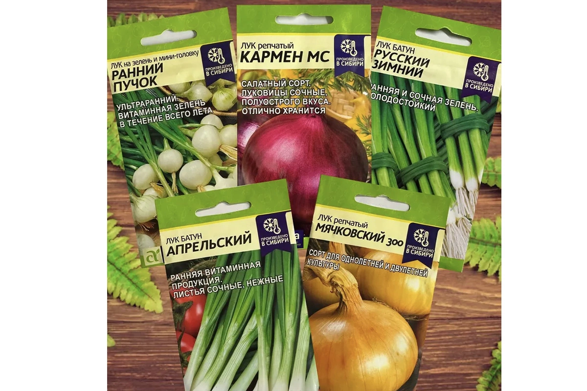 Для подзимней посадки подходит лук с пометками: раннеспелый, озимый, морозостойкий, для любых климатических зон