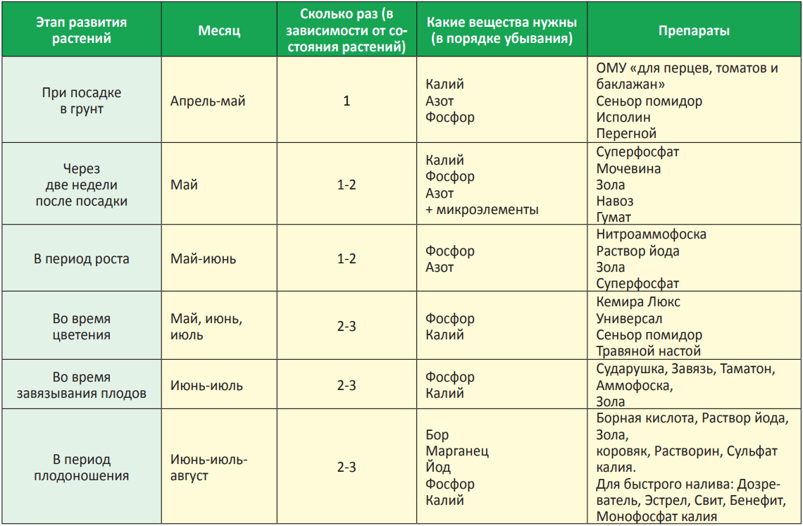 Чем подкормить помидоры: рассаду и после пикировки, схема подкормки | РБК  Life