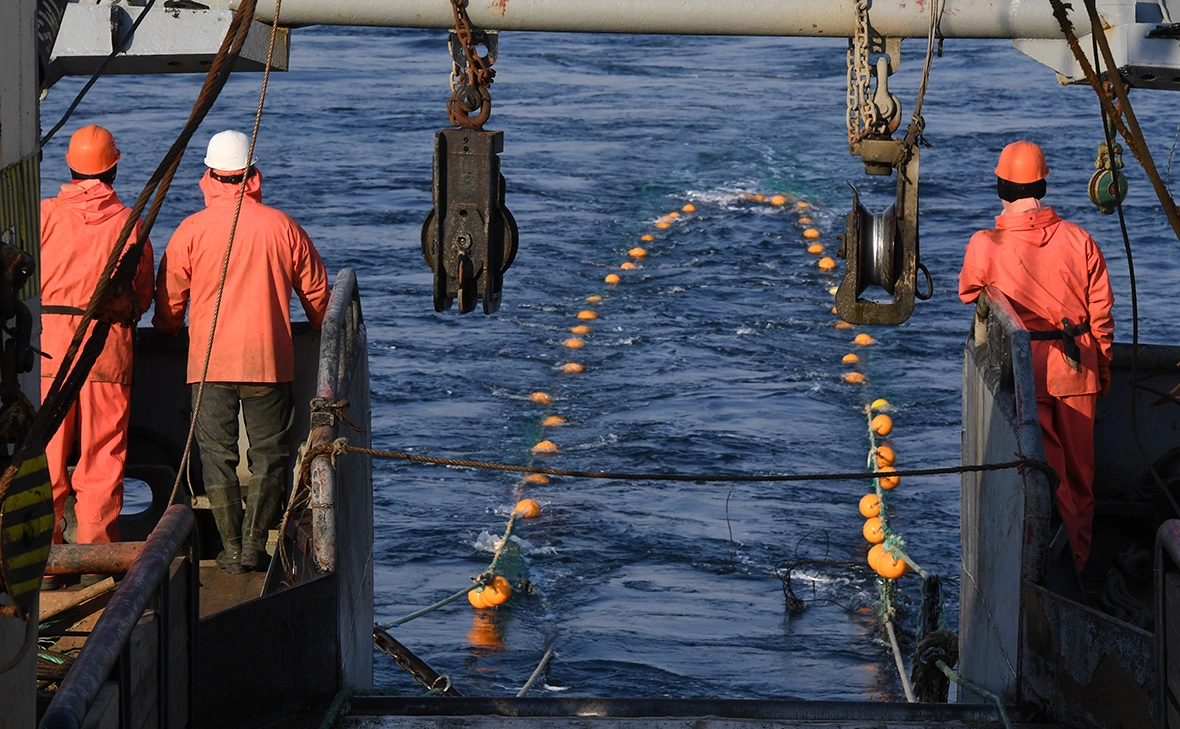 Виталий Аньков / РИА Новости