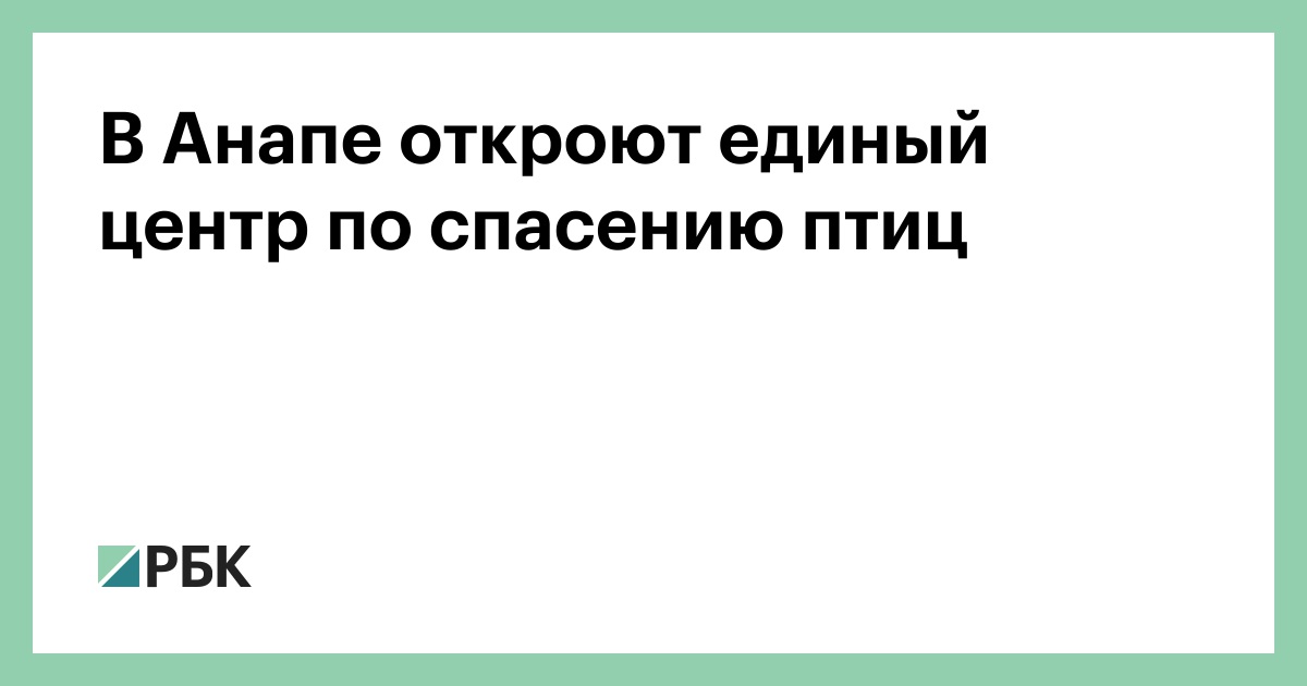 В Анапе откроют единый центр по спасению птиц — РБК