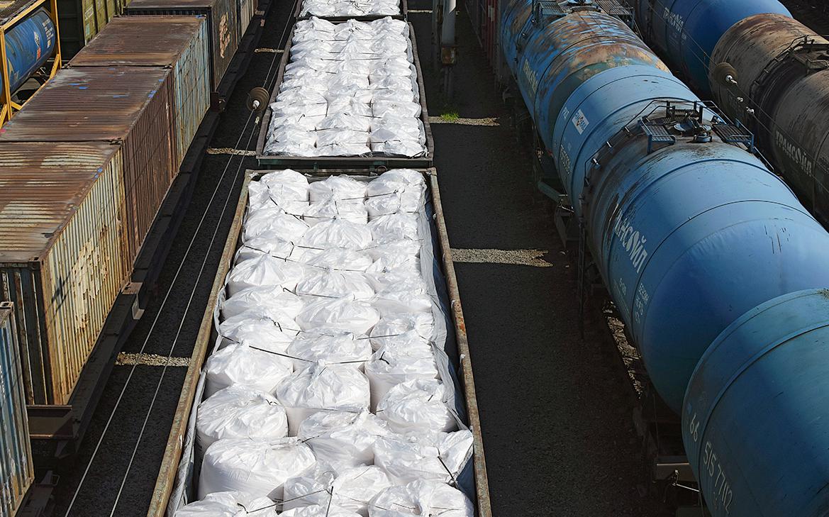 Фото: Natali55522 / Shutterstock