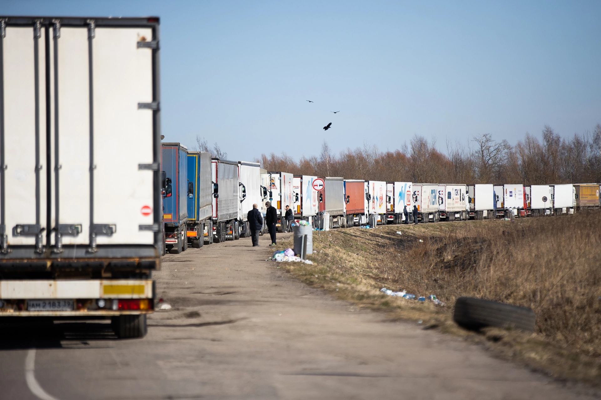 Александр Подгорчук