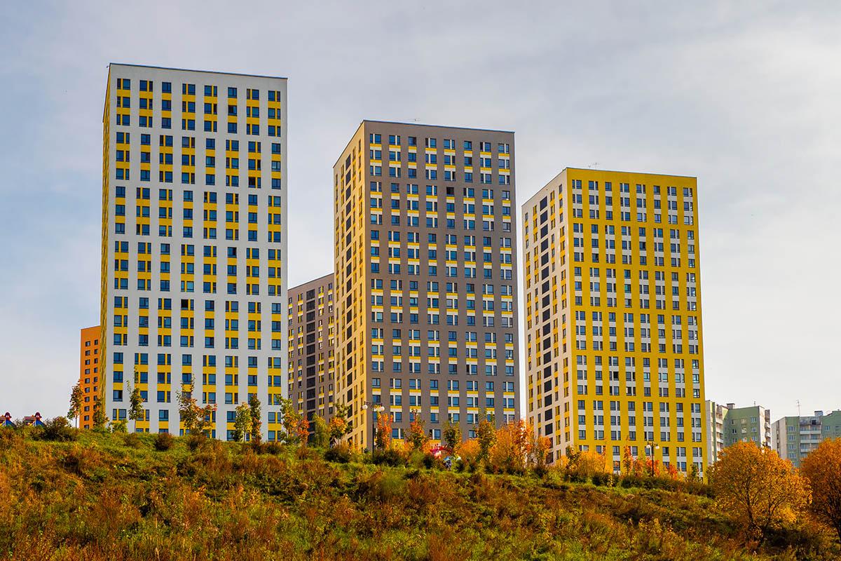 Фото: Stanislav71 / Shutterstock / FOTODOM
