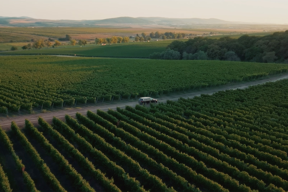 Удивительная мелодия терруара: о чем будет новый сезон «Время вина: люди»