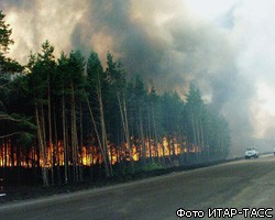 Режим ЧС из-за лесных пожаров объявлен в 7 регионах России