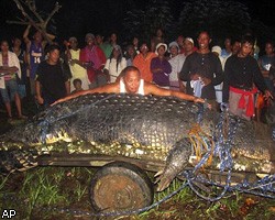 На Филиппинах поймали гигантского крокодила-людоеда