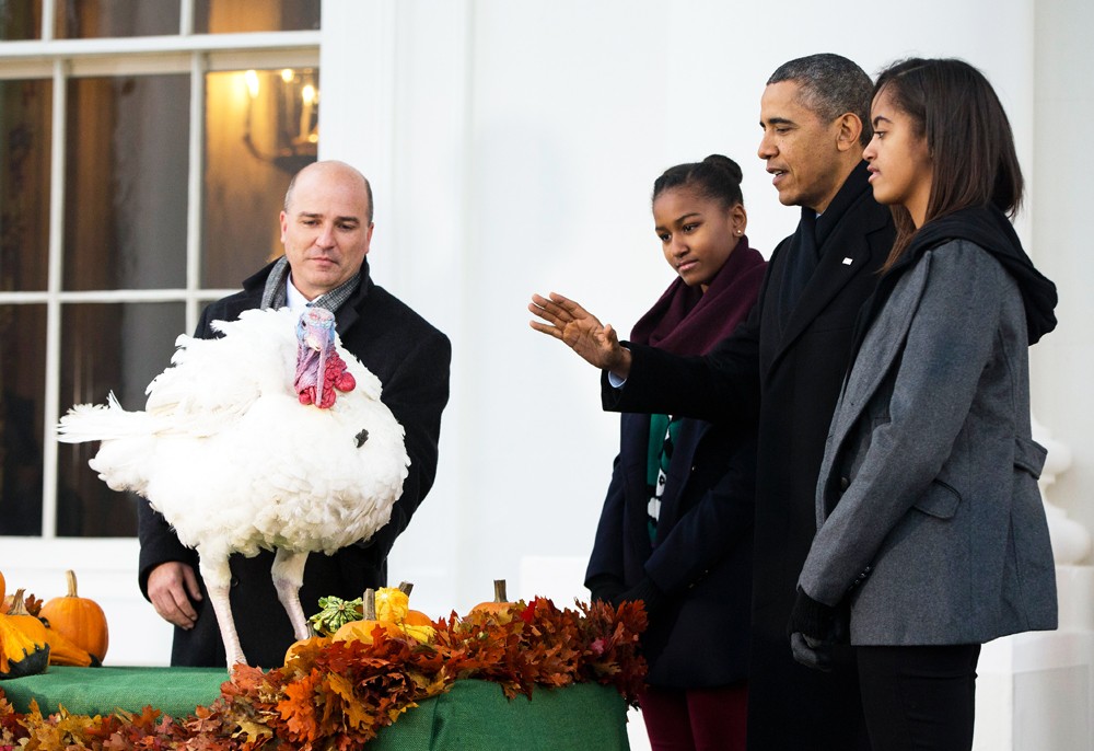 Барак Обама помиловал двух индюков ко Дню благодарения