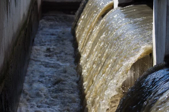 Александр Подгорчук