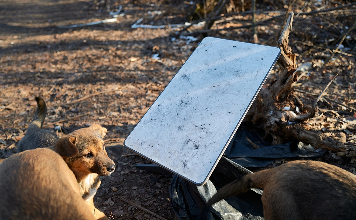 Pierre Crom / Getty Images