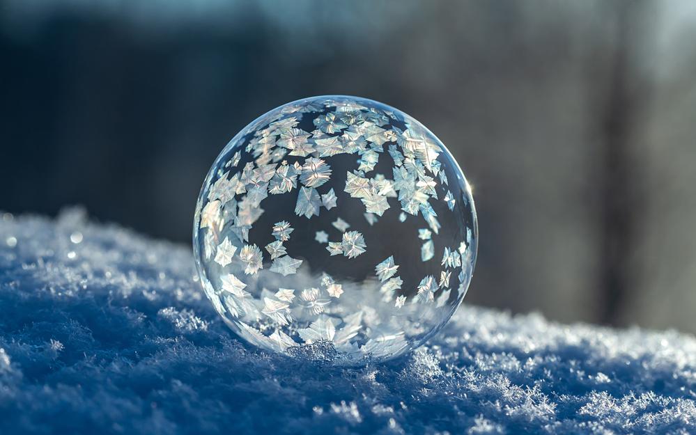 Фото: Shutterstock