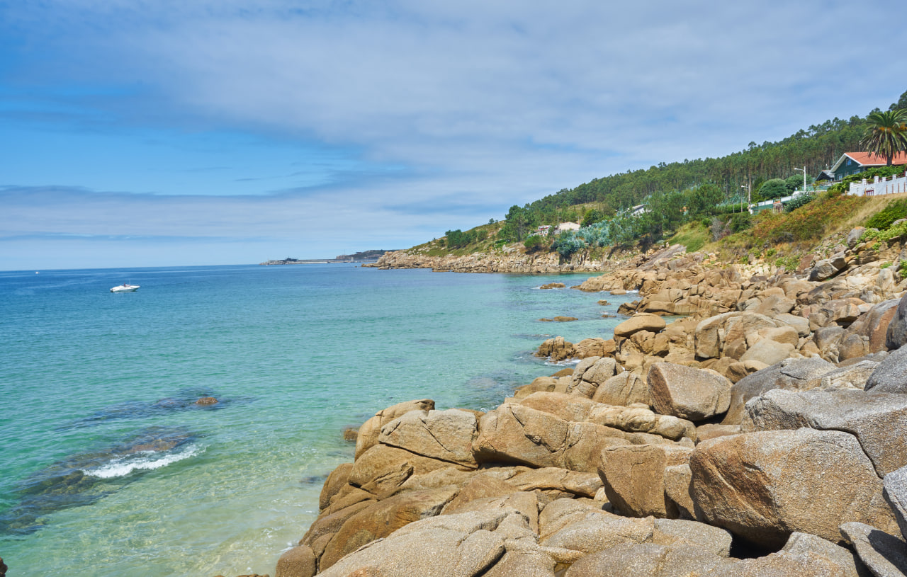 Фото: freepik.com