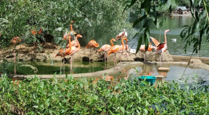 Фото: РБК Пермь