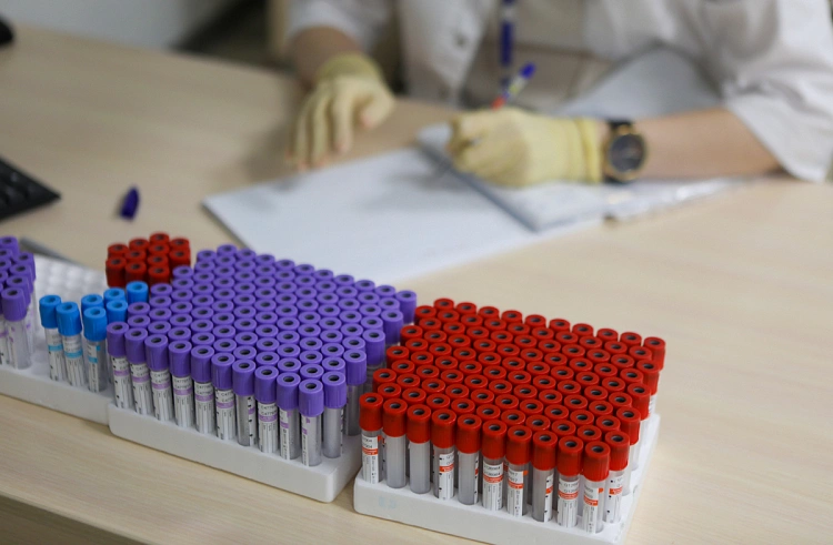 Правительство Приморского края